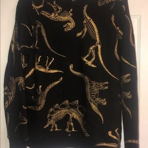 Dino sweater